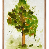 Akvarel Redwood plakat