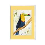 Passepartout